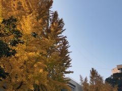 -西南交通大学(九里校区)