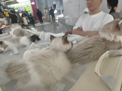 -万达广场(槐房店)