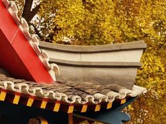 -四川大学(华西校区)