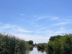 -白洋淀景区