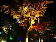 -天目湖御水温泉·度假酒店