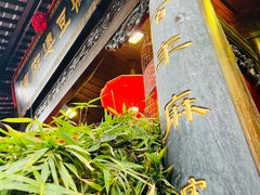 -陈麻婆豆腐(旗舰店)