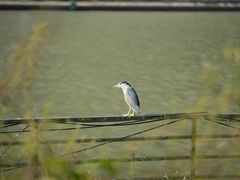 -苏州河梦清园环保主题公园