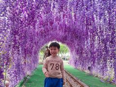-长洲岛都市农业公园