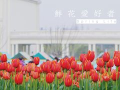 -大宁公园