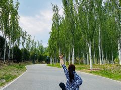 -东郊湿地公园