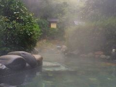 天沐明月山温泉度假村-明月山天沐温泉度假村