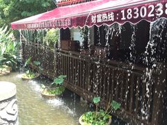 -三道苗苗鱼(三道堰老字号店)