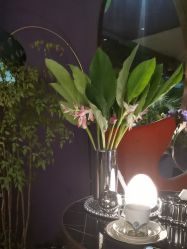 -花隐·美芙炫海菲秀皮肤管理中心