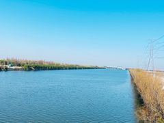 -宁波杭州湾国家湿地公园