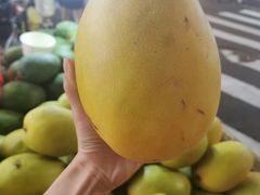 -莲花公园煎蟹(总店)