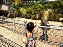 -三亚亚龙湾天域度假酒店