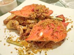 -上海明天广场JW万豪酒店