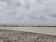 -南汇嘴观海公园