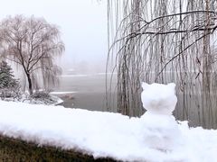 -大兴滨河森林公园