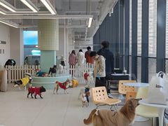 -怪兽屋·羊驼·猫咖·狗咖(俊华广场店)