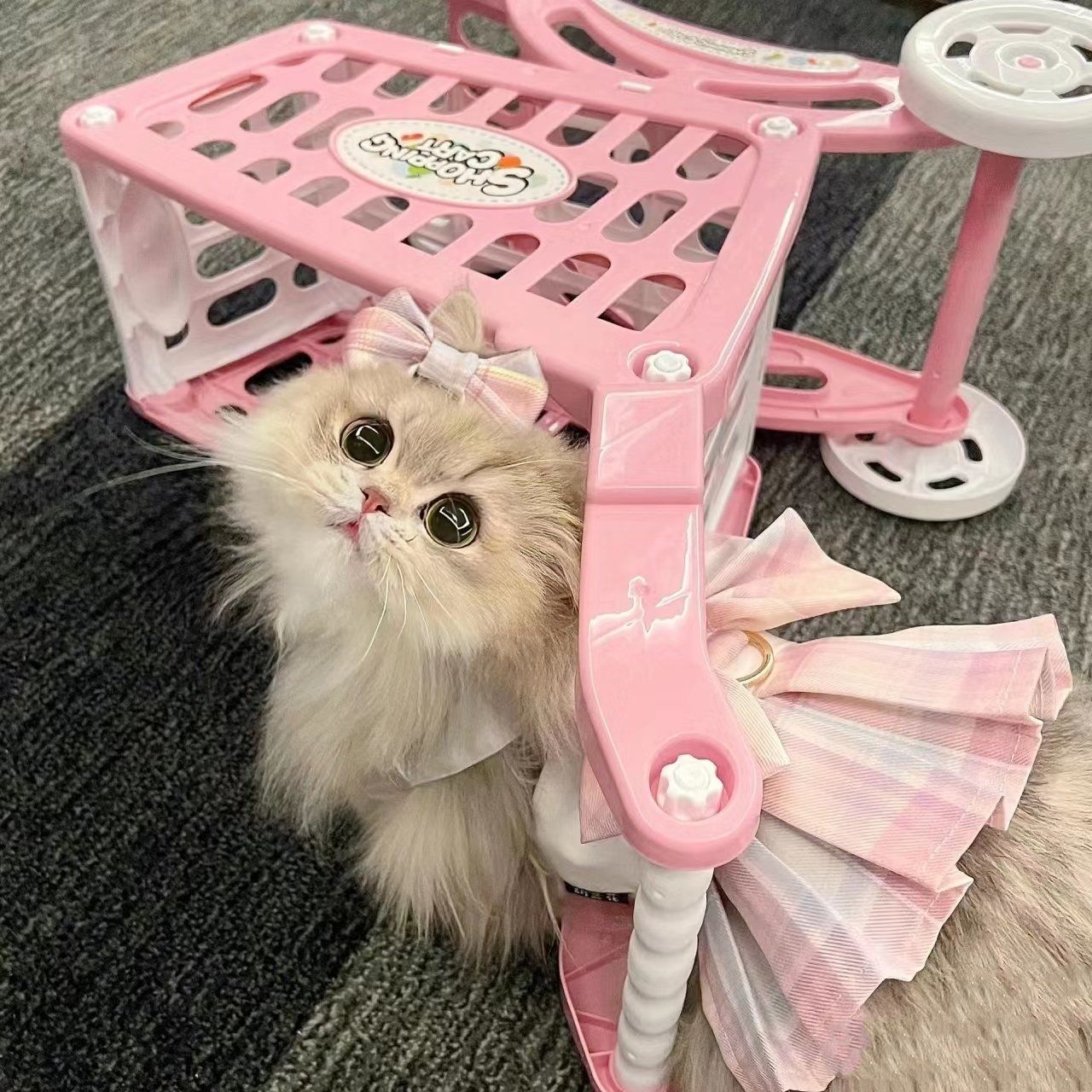可爱猫咪头像