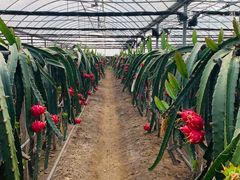 -上海多利农业发展有限公司