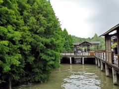 -溱湖国家湿地公园