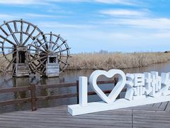 -宁波杭州湾国家湿地公园