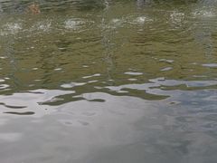 -DGE季风钓虾营地·团建·聚会