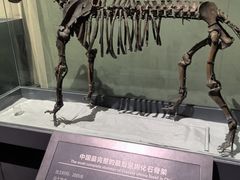 -大庆市博物馆