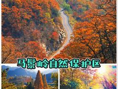 -安徽天堂寨风景区