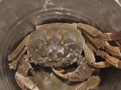 -亚马逊海鲜自助(梅溪湖步步高店)