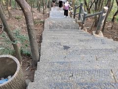-紫金山山顶公园