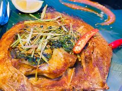 傣族香茅草烤罗非鱼-雀舞·私食(凯德店)