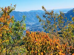 -大岭沟猕猴桃谷风景区