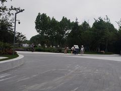 -天鹅湖体育公园