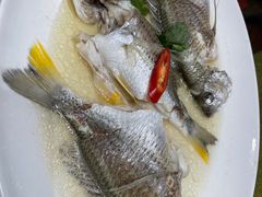 油盐水蒸黄脚立鱼-大门水乡·顺德菜