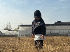 -菊园百果园
