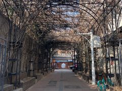 -天津五大道文化旅游区