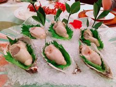 -顺峰(农展馆店)