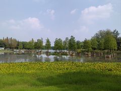 -合肥生态公园