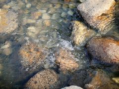 -暨阳湖生态园