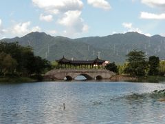 -飞来湖湿地公园