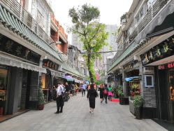 -华林国际玉器城(康王中路)