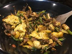 -食乐佳麻辣香锅(森林摩尔商业街区店)