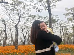 -芒洲湿地公园