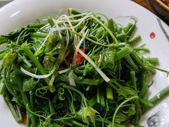 白灼丝瓜尖-渔娘渔家丹东海鲜(东直门店)