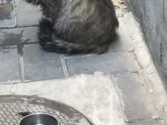 -萌兽医馆·犬猫专科·眼科中心·宠物医院(朝阳门分院)