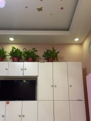 -香薇妮丝·定制减肥·身材管理