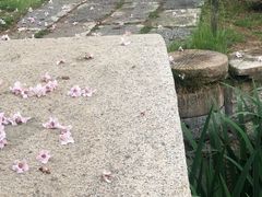 -观唐（国际）度假村温泉