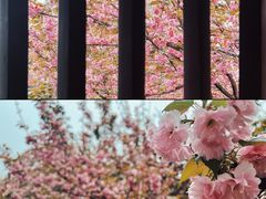 -西安青龙寺遗址景区