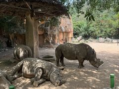 -芽庄珍珠岛游乐园