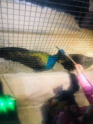 -酷嗒动物文化乐园(cutezoo西溪乐天城店)