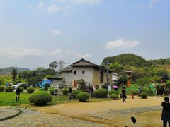 -福建土楼（华安）旅游区•大地土楼群